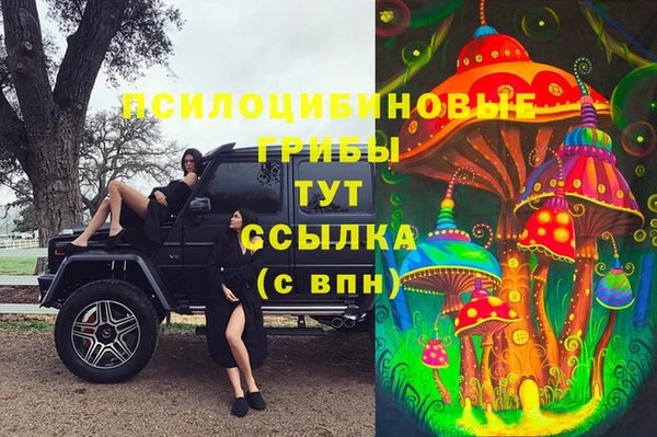 гашиш Арсеньев